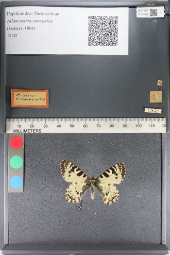 Media type: image;   Entomology 134869